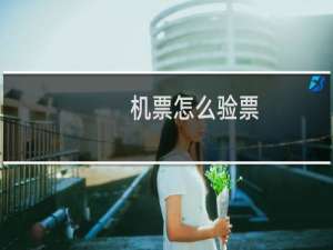 机票怎么验票
