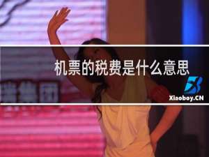 机票的税费是什么意思