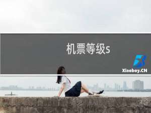 机票等级s