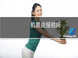 机票能报税吗