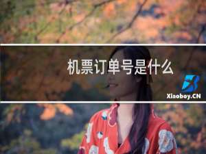 机票订单号是什么