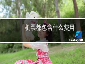 机票都包含什么费用