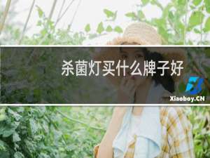 杀菌灯买什么牌子好