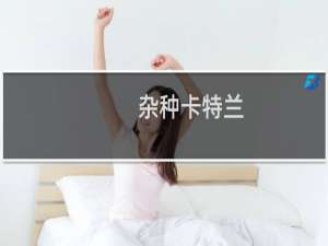 杂种卡特兰(关于杂种卡特兰的简介)
