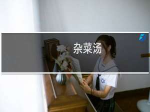 杂菜汤(关于杂菜汤的简介)