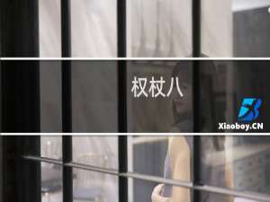 权杖八(关于权杖八的简介)