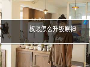 权限怎么升级原神