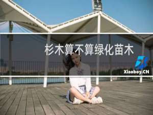 杉木算不算绿化苗木
