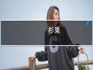 杉果 消逝的光芒2怎么买