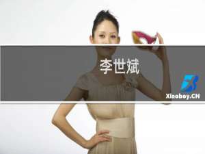 李世斌(关于李世斌的简介)