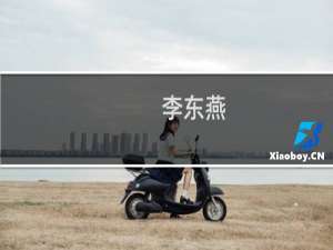 李东燕(关于李东燕的简介)