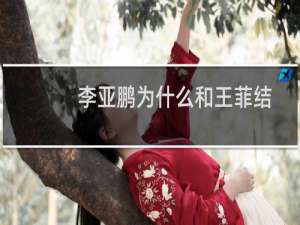 李亚鹏为什么和王菲结婚（李亚鹏为什么和王菲离婚）