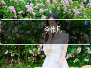 李伟凡(关于李伟凡的简介)