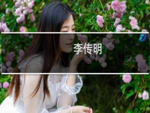李传明(关于李传明的简介)