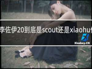 李佐伊 到底是scout还是xiaohu什么梗
