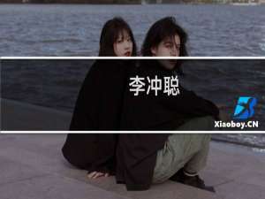 李冲聪(关于李冲聪的简介)