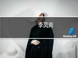李凤岗(关于李凤岗的简介)