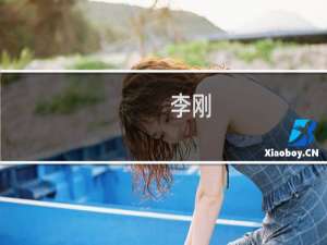 李刚(关于李刚的简介)