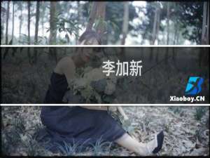 李加新(关于李加新的简介)