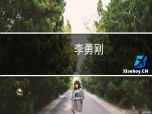 李勇刚(关于李勇刚的简介)