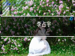 李占宇(关于李占宇的简介)