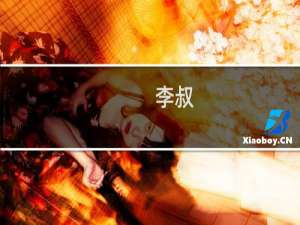 李叔(关于李叔的简介)