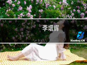 李增辉(关于李增辉的简介)