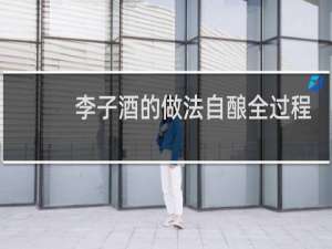 李子酒的做法自酿全过程