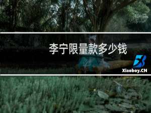 李宁限量款多少钱