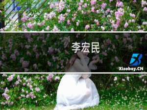 李宏民(关于李宏民的简介)