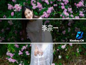 李宗一(关于李宗一的简介)