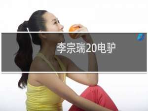 李宗瑞 电驴