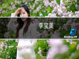 李宝美(关于李宝美的简介)