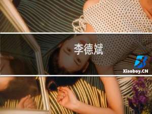 李德斌(关于李德斌的简介)