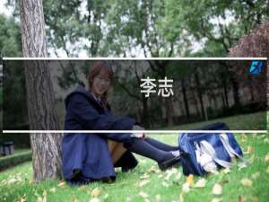 李志(关于李志的简介)