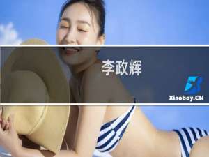 李政辉(关于李政辉的简介)