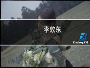 李效东(关于李效东的简介)