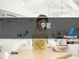 李敏(关于李敏的简介)