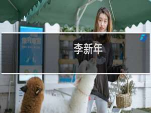 李新年(关于李新年的简介)