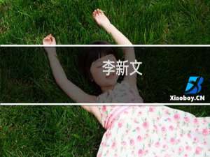 李新文(关于李新文的简介)