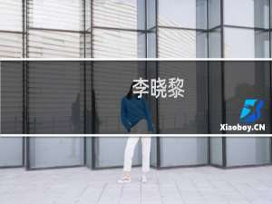 李晓黎(关于李晓黎的简介)