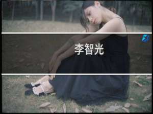 李智光(关于李智光的简介)