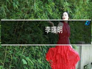 李曙明(关于李曙明的简介)