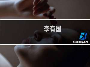 李有国(关于李有国的简介)