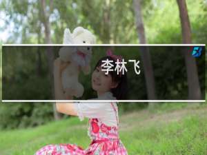 李林飞(关于李林飞的简介)