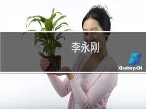 李永刚(关于李永刚的简介)