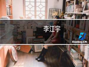 李江宇(关于李江宇的简介)