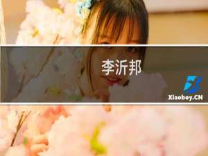 李沂邦(关于李沂邦的简介)