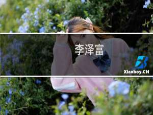 李泽富(关于李泽富的简介)