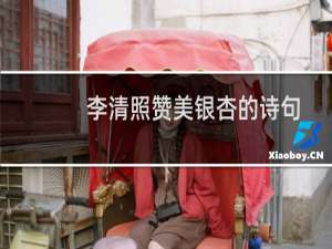 李清照赞美银杏的诗句